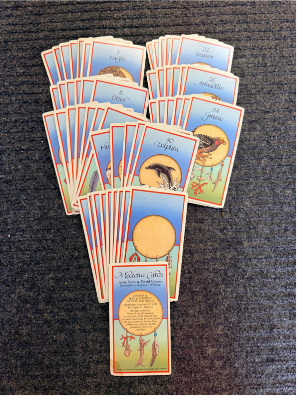 1988 Medicine Cards COMPLETE 54 Card Deck Jamie Sams David Carson Cards Only